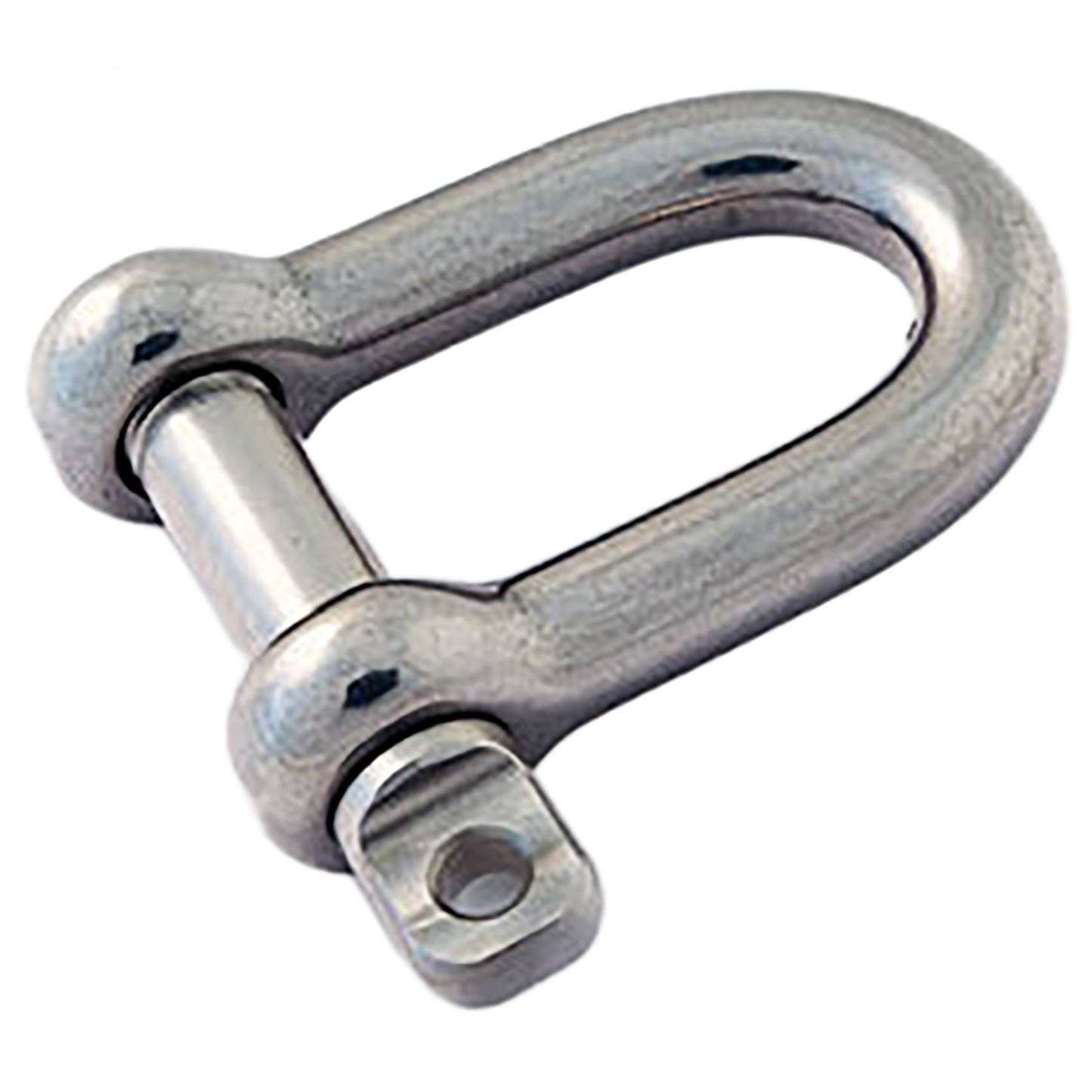 Tested Stainless Steel D Shackle - Standard Pin
