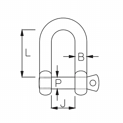 Tested Stainless Steel D Shackle - Standard Pin